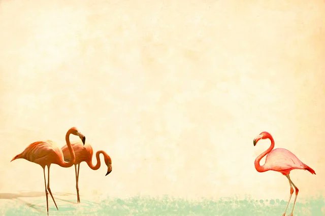 Mary Wallace tweet media