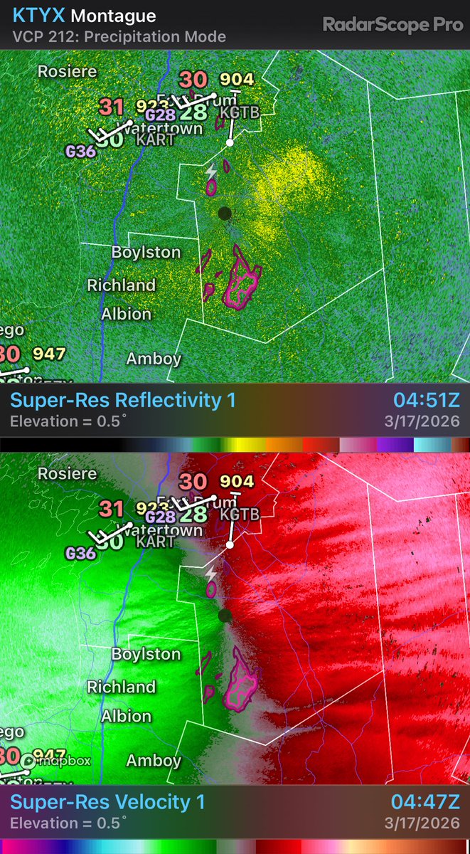 Scott Steiger tweet media