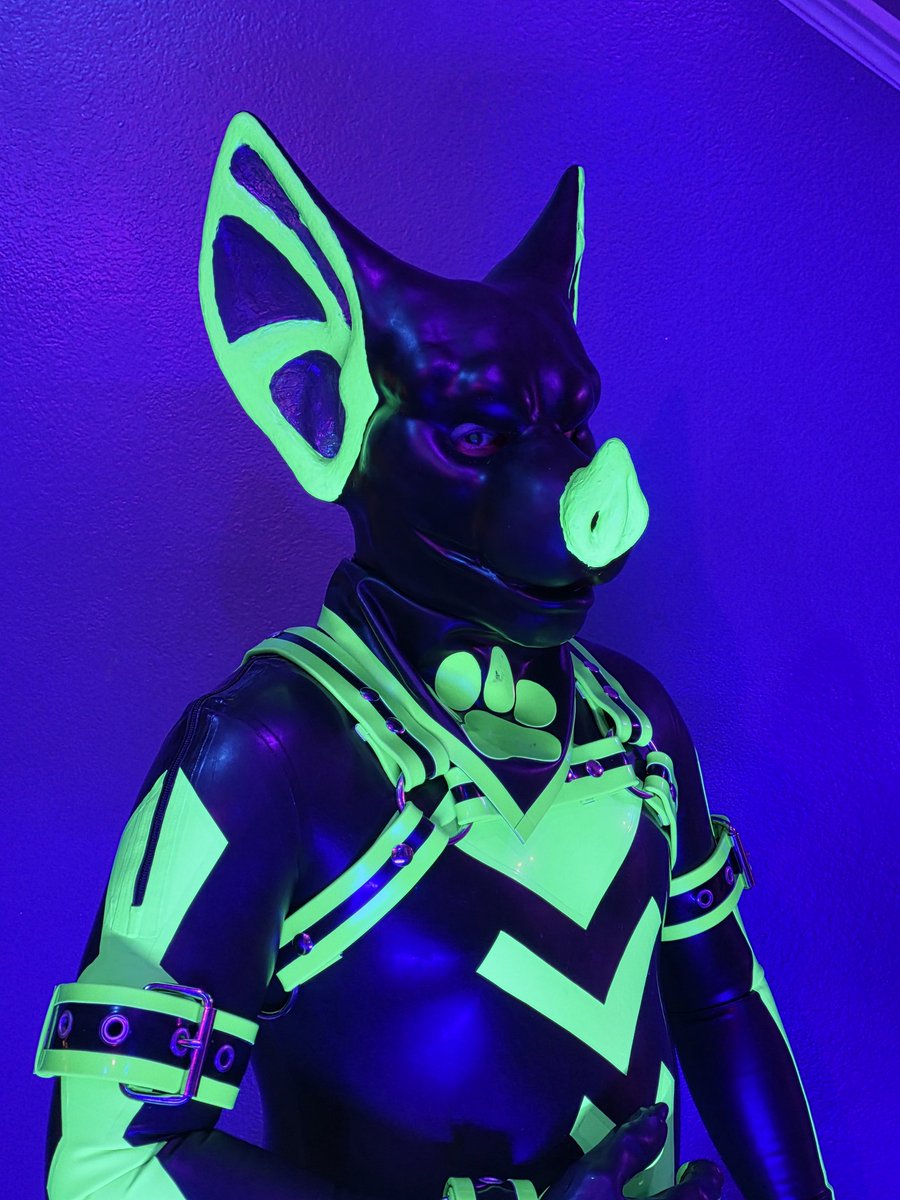 Frisky Critters tweet media