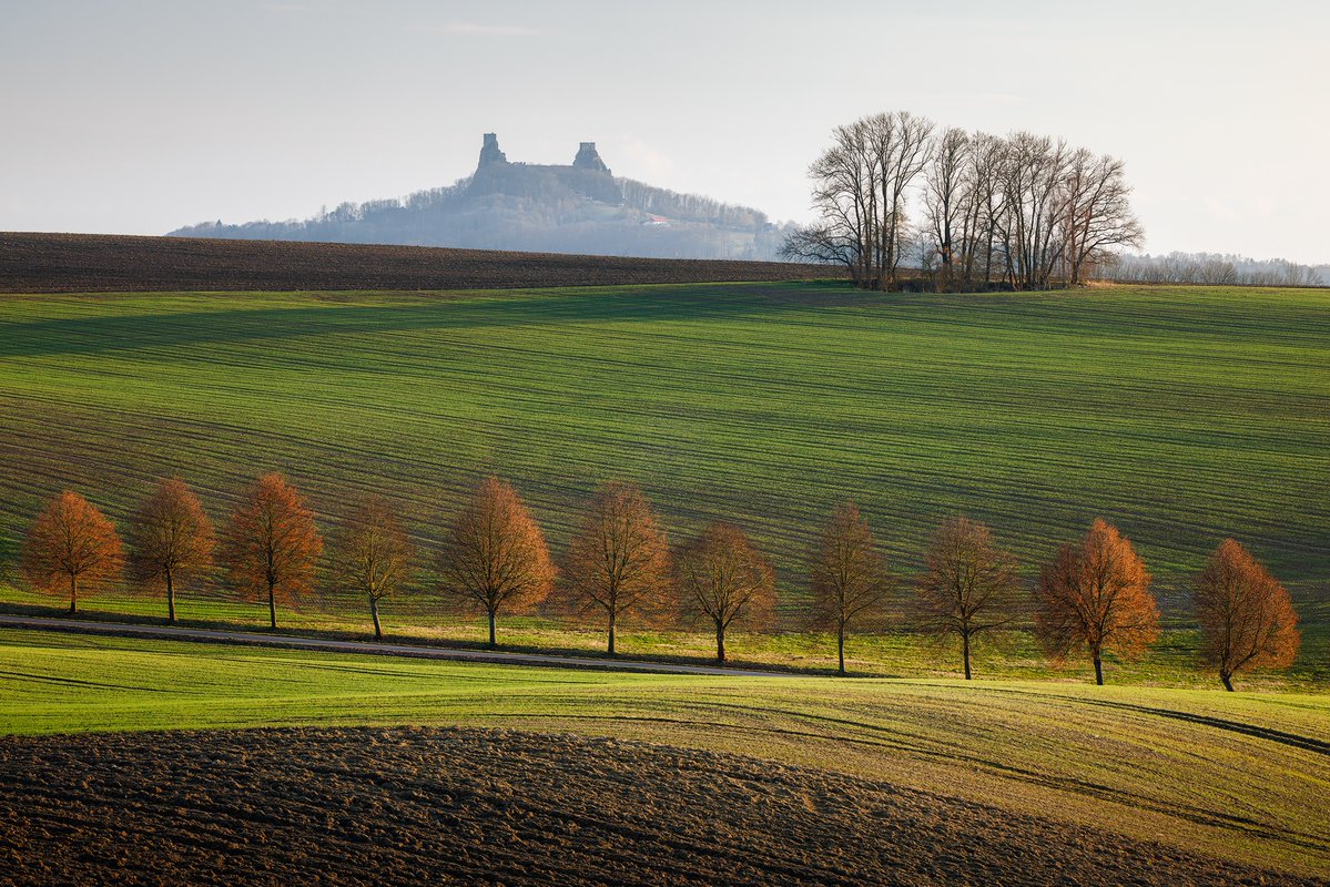 Martin Rak tweet media