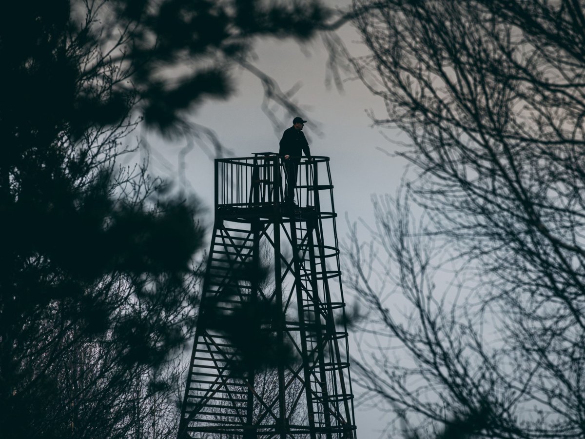 FAMM Foundation tweet media