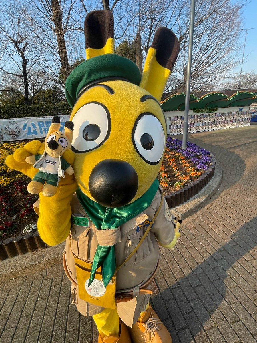 nikoniko_toppy's tweet photo. トッちゃん💓
💛3/18💛
- ̗̀ 𝙷𝙰𝙿𝙿𝚈 𝙱𝙸𝚁𝚃𝙷𝙳𝙰𝚈  ̖́-
トッピーと一緒だと運気上がる気がする( * ॑꒳ ॑*)
 #トッピー  #東武動物公園 https://t.co/MZgwzdkJs1