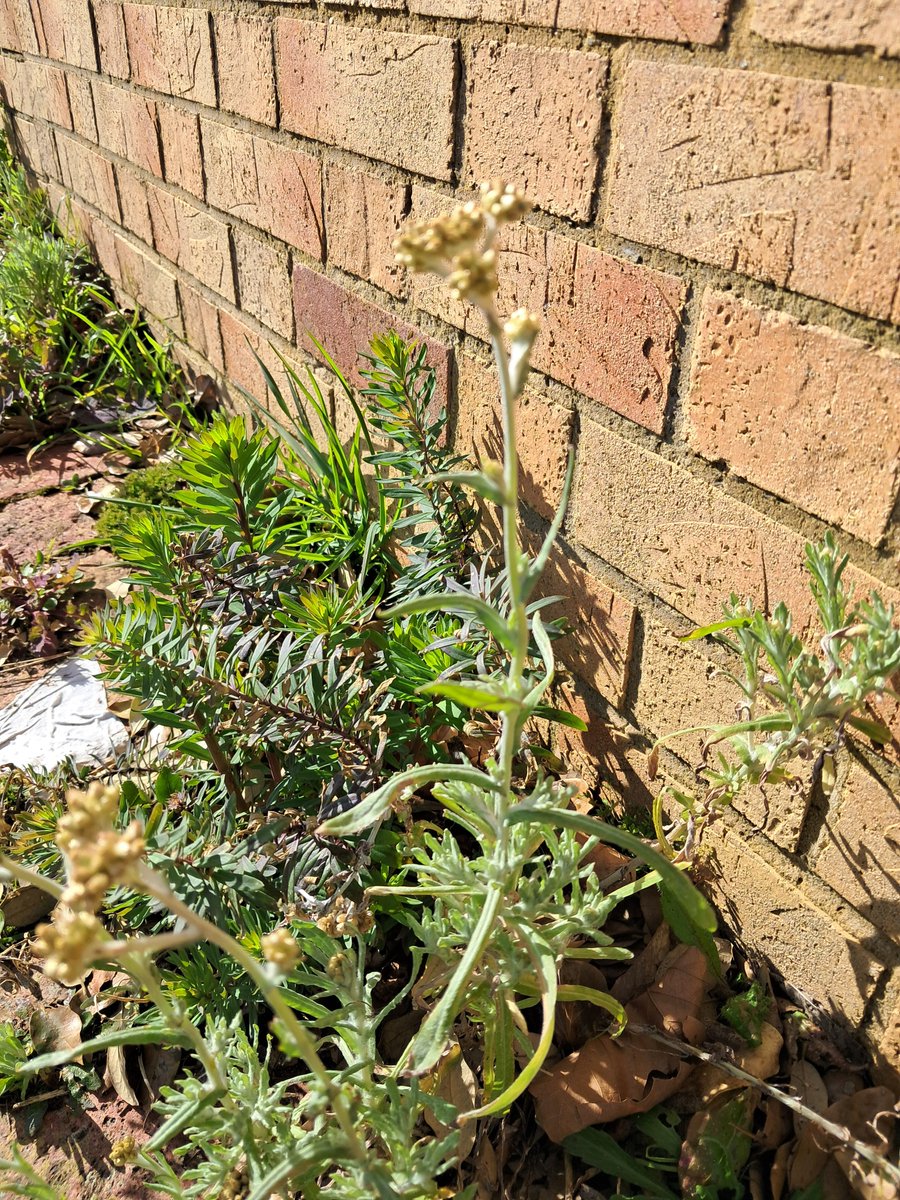 Perry Smale tweet media