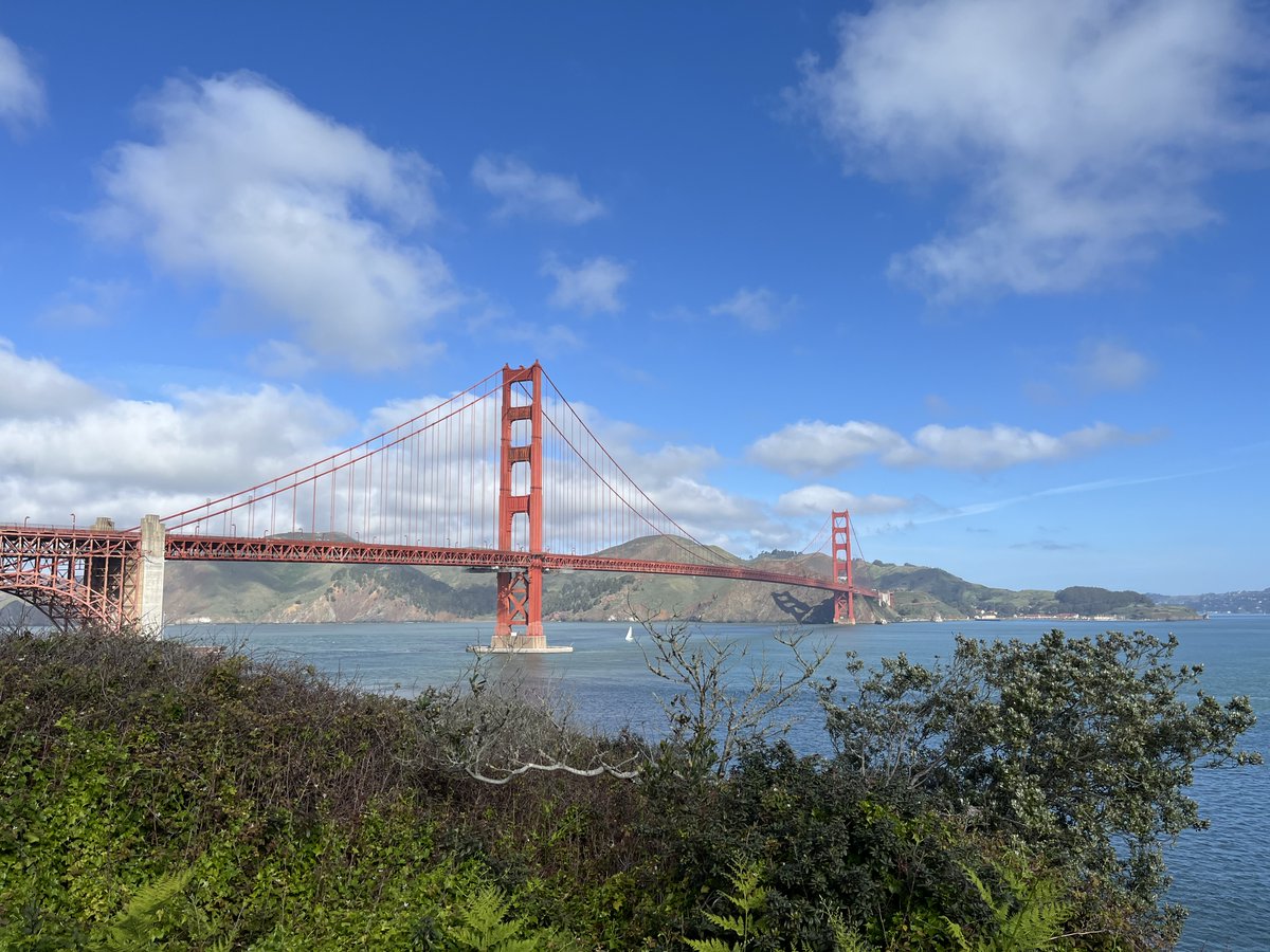 Martijn Bartelds tweet media