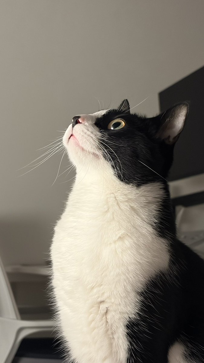 봉구네 김밥이 tweet media