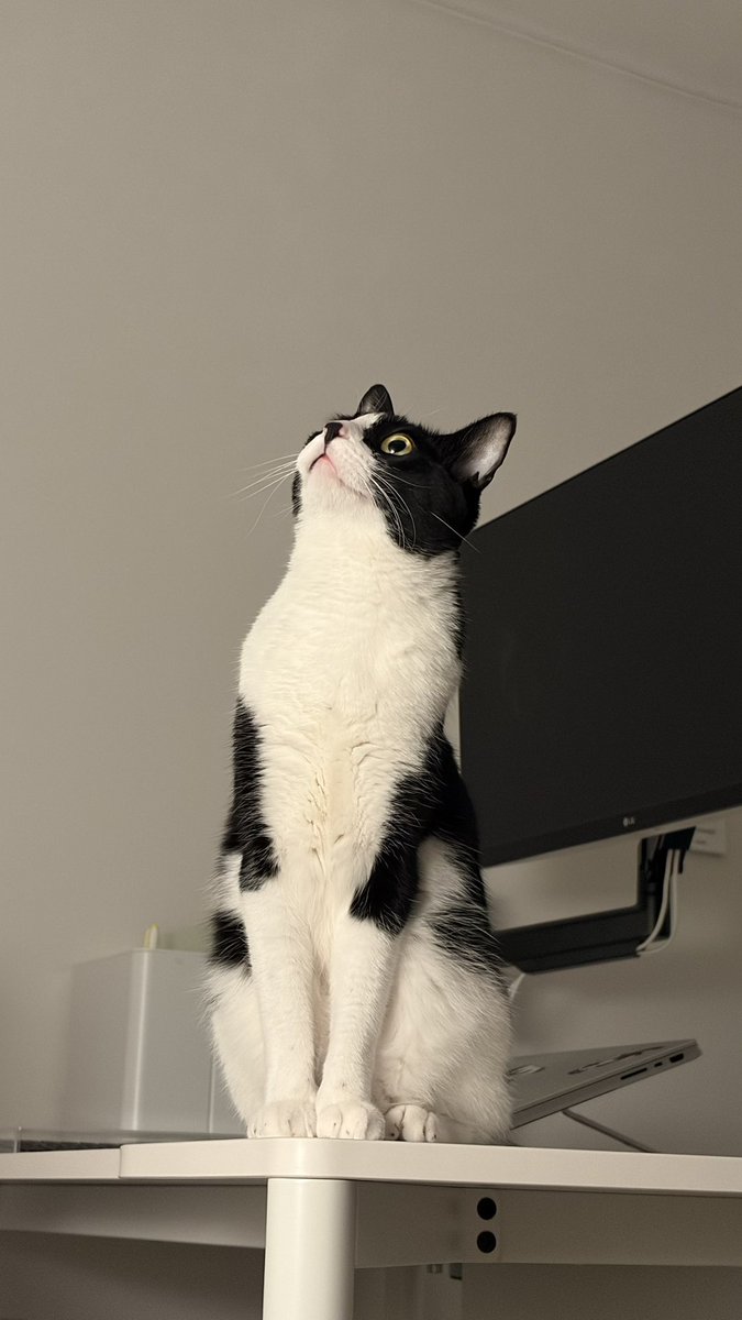 봉구네 김밥이 tweet media