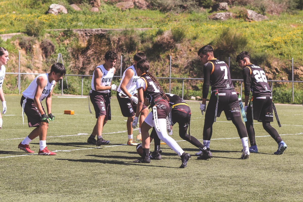 Vva Black Storks tweet media