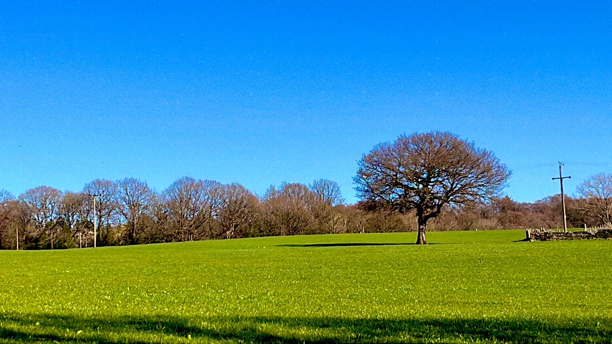 ArchieDev 🕉️♓️ tweet media