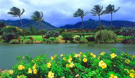 Rick Beato is wrong tweet media