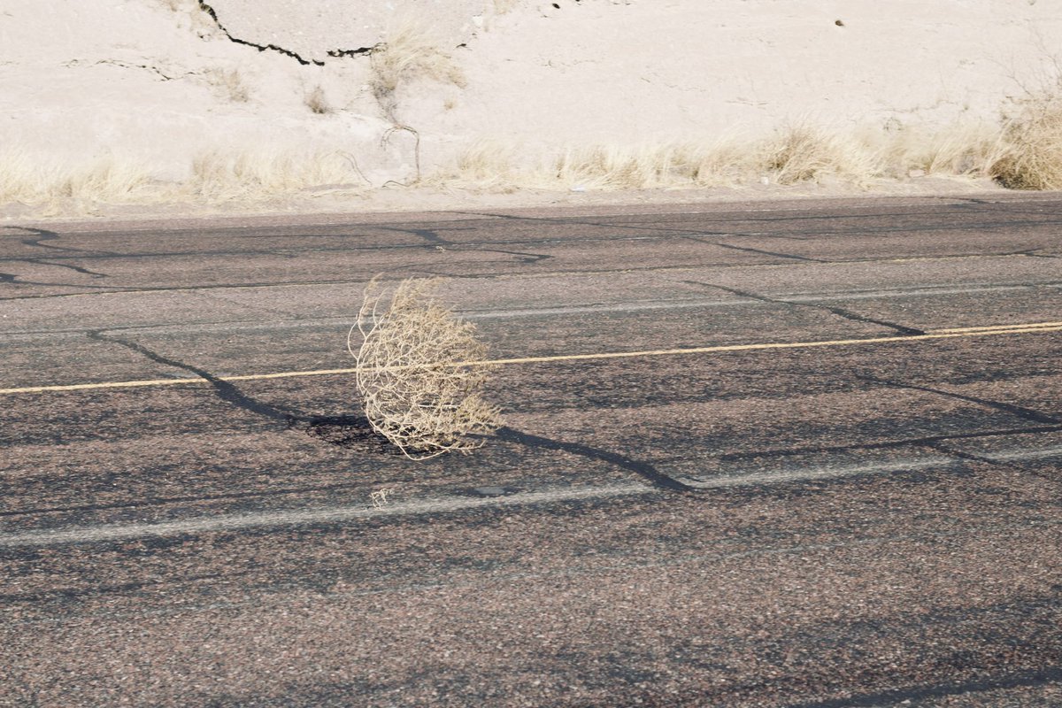 Evan K photos tweet media