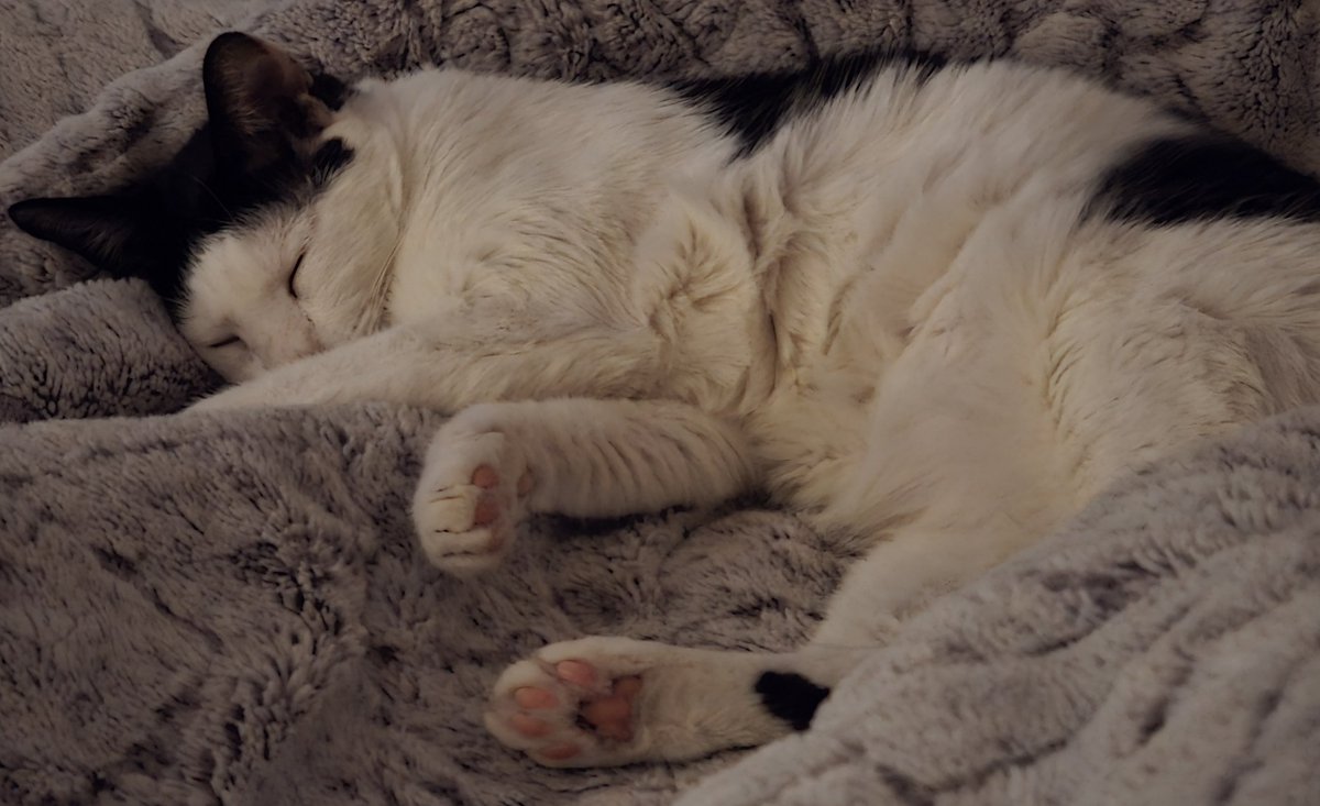 ❤️‍🔥레드오랭지🍊 tweet media