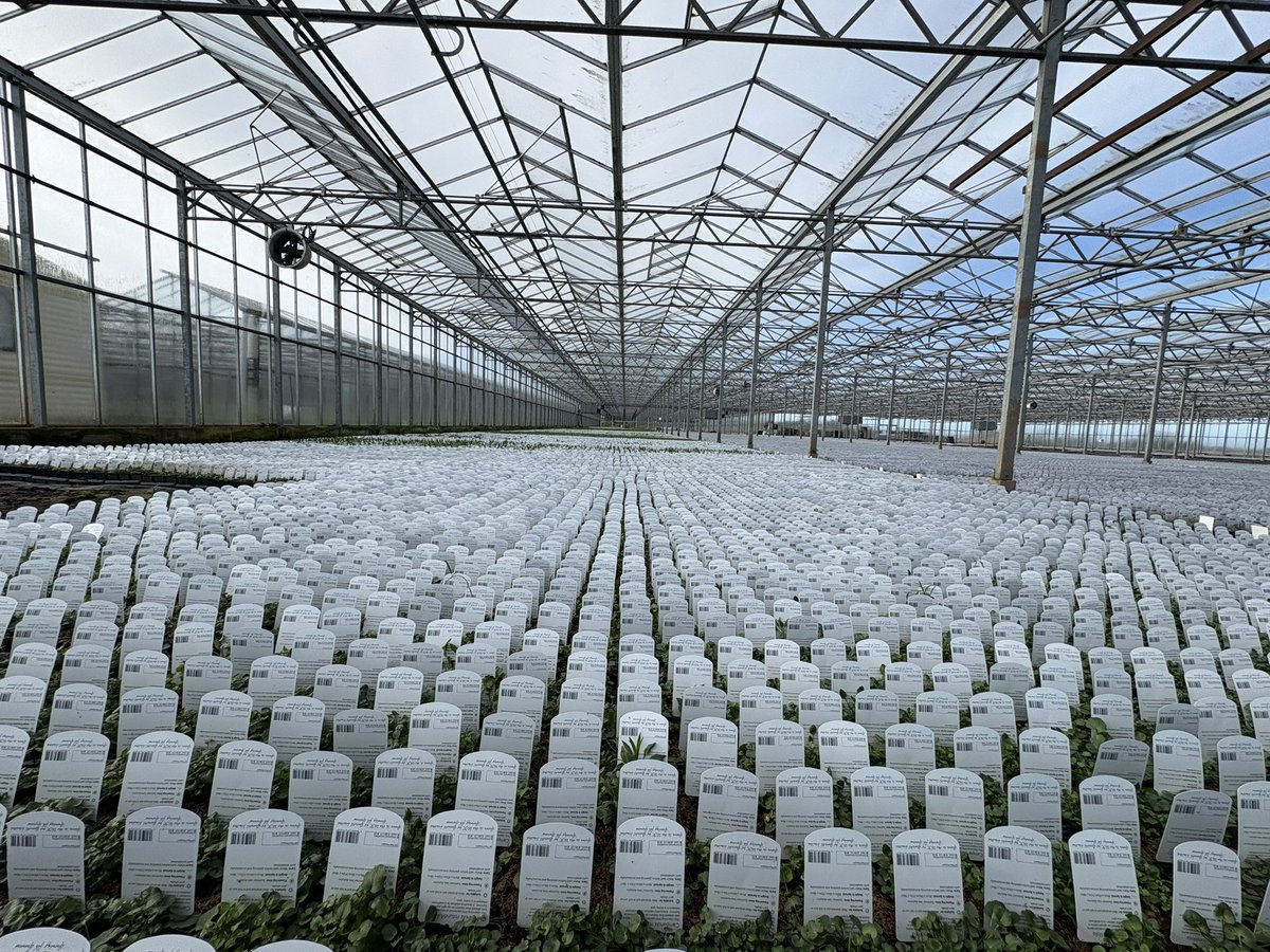 Agronomysilvers's tweet photo. All things indoor today @AgriiUK #protectedcrops https://t.co/4AwluAYmWp