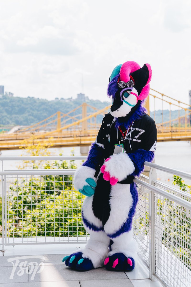 Aurora 🔜 TFF tweet media