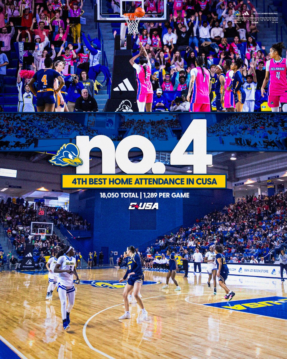 Delaware Women’s Basketball tweet media