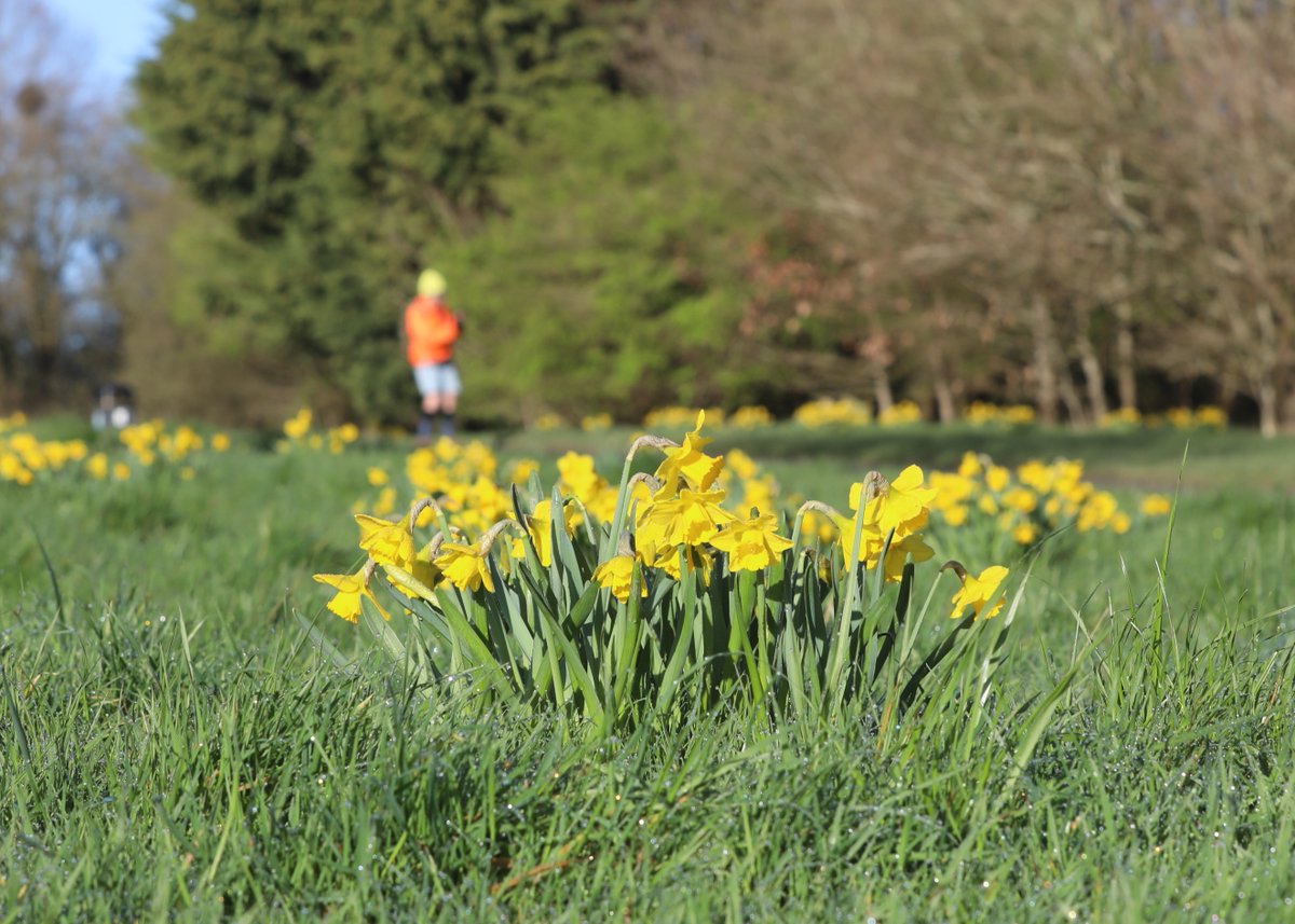 Southwick parkrun tweet media