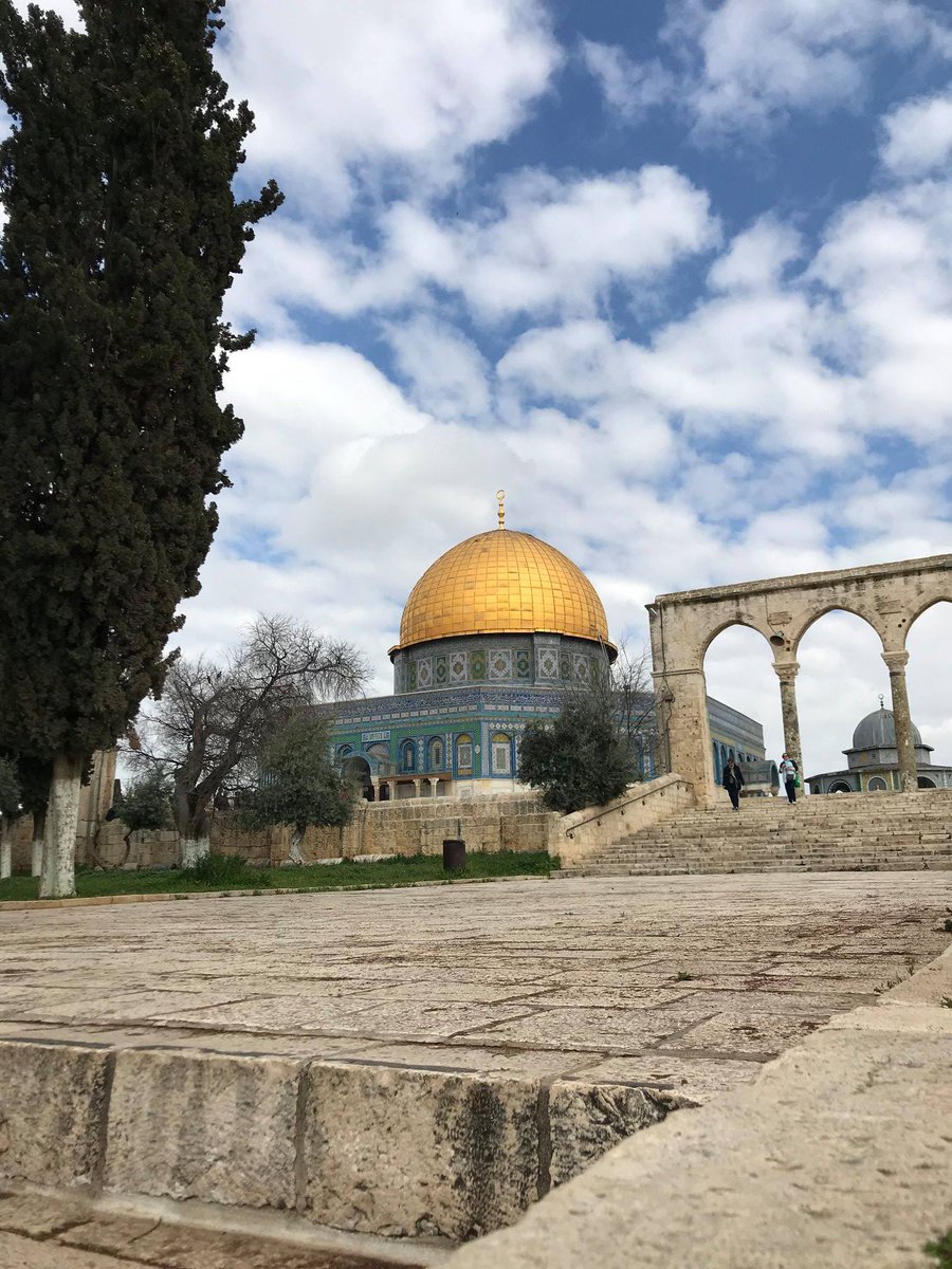 nisa 🍀 tweet media