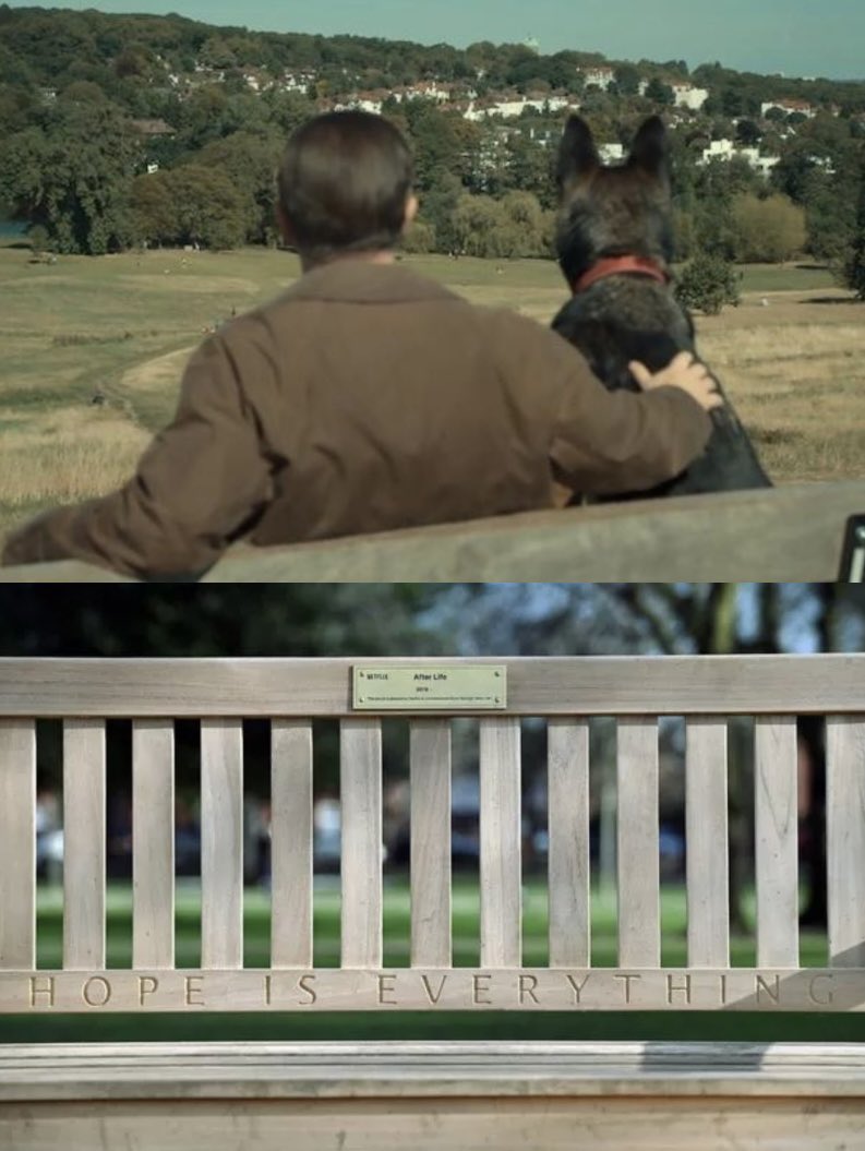 After Life 🐕‍🦺 tweet media