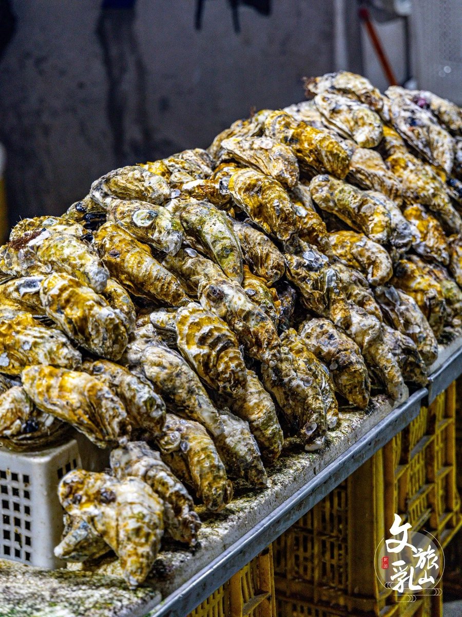 rushanfengqing's tweet photo. As the saying goes, "Cold water oysters, hot water clams." After enduring the harsh winter, the oysters in Rushan have accumulated all the nutrients and flavors they need. Their meat is plump and the taste has improved.
#我如此热爱乳山 https://t.co/06K0IFMzxx