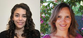 Development tweet media