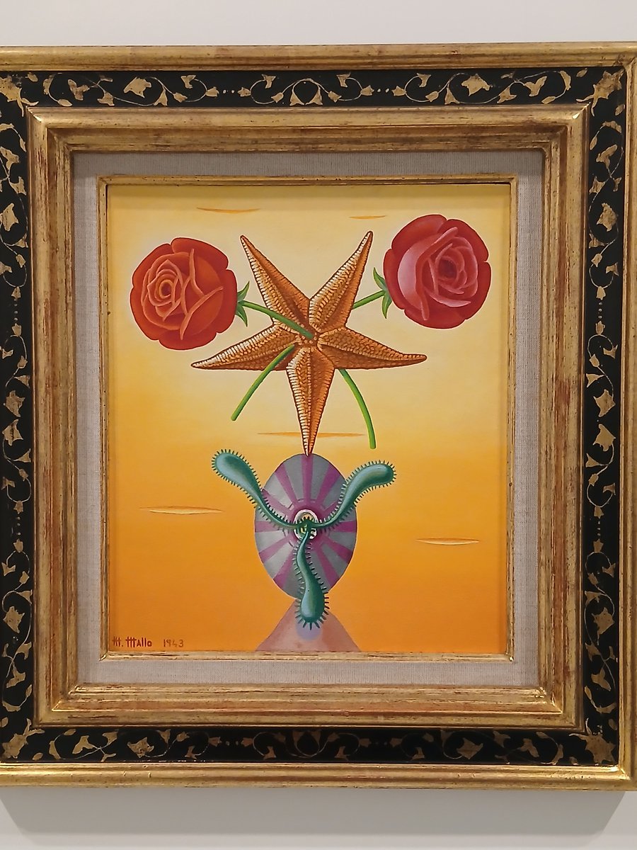 Trifidodarcy tweet media