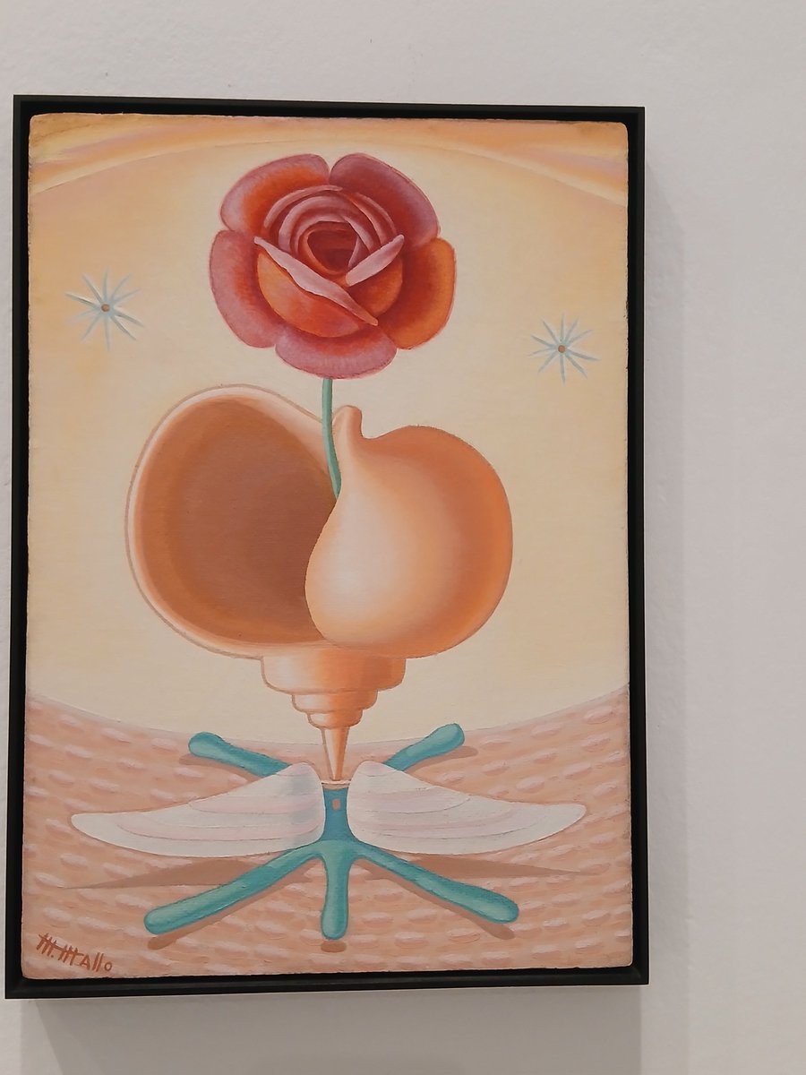 Trifidodarcy tweet media