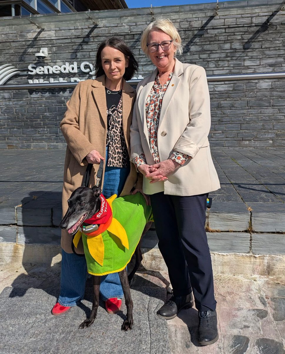 Siân Gwenllian AS/MS tweet media