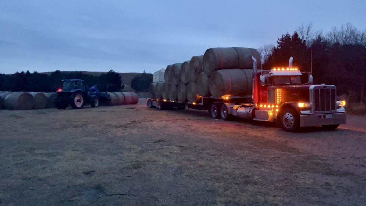 Nebraska Cattlemen® tweet media