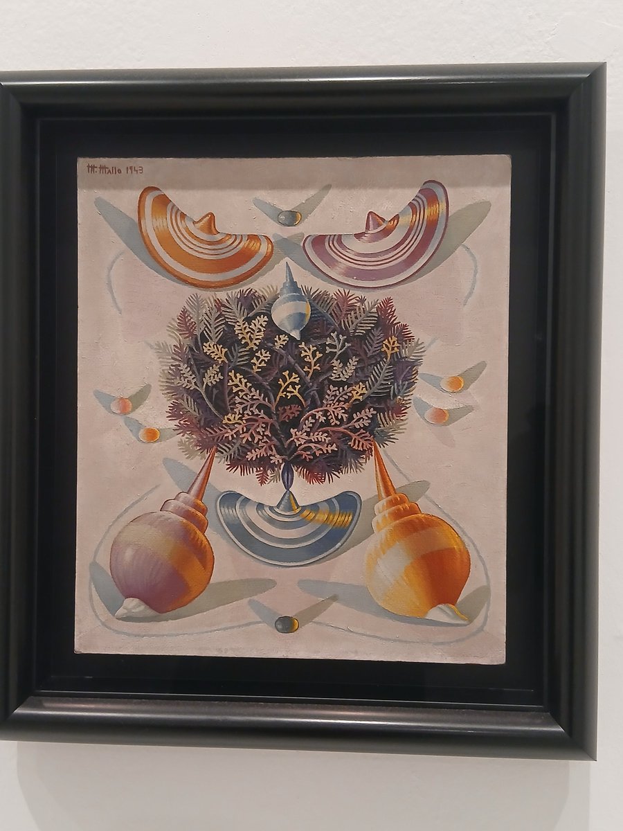 Trifidodarcy tweet media