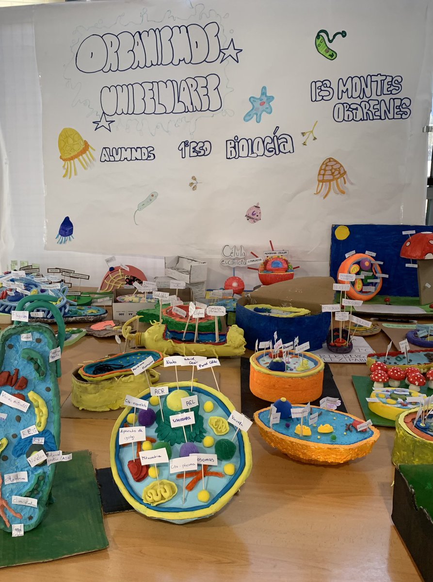 IES MONTES OBARENES tweet media
