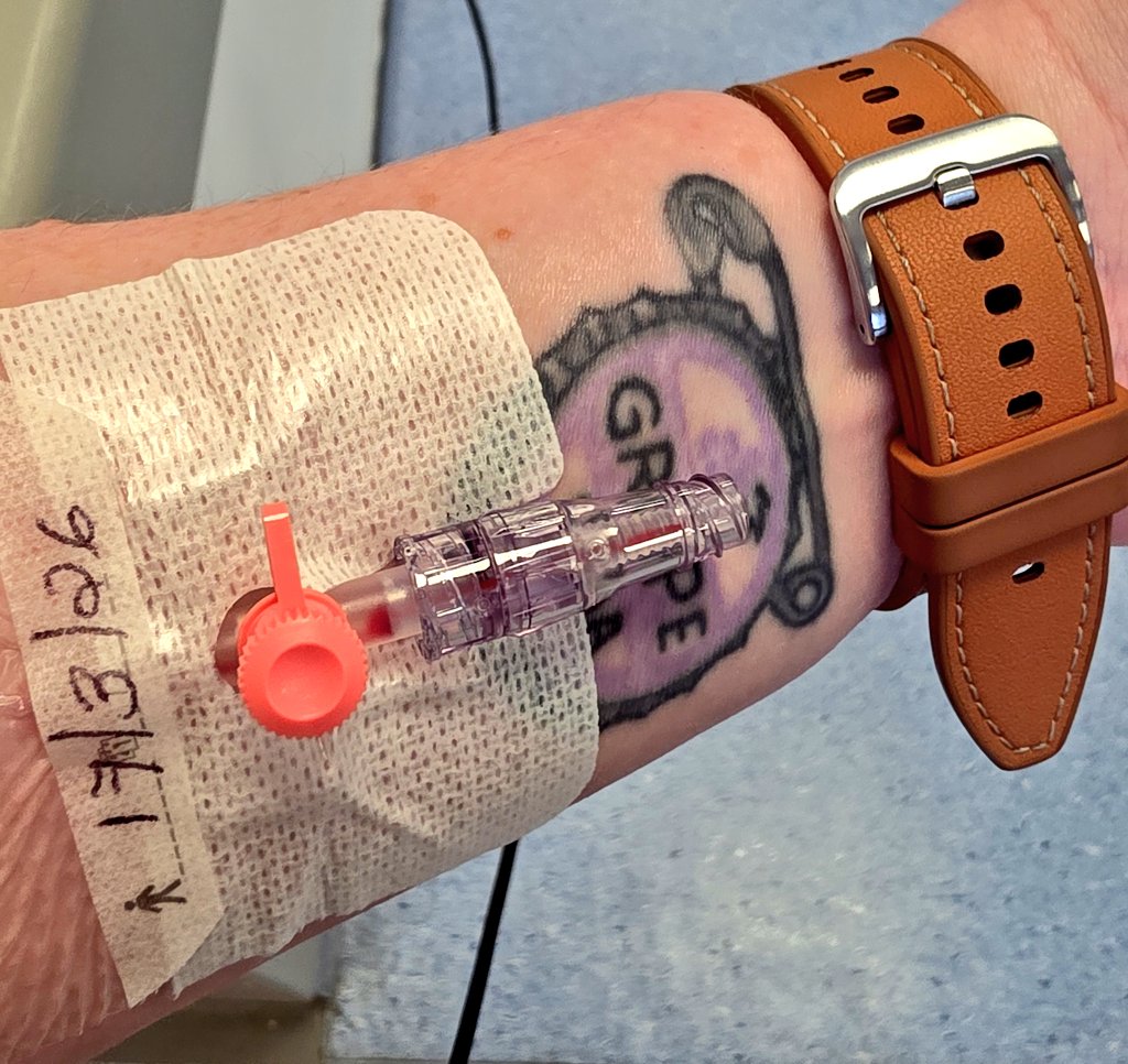 𝗔𝗻𝗱𝗿𝗲𝗮 tweet media