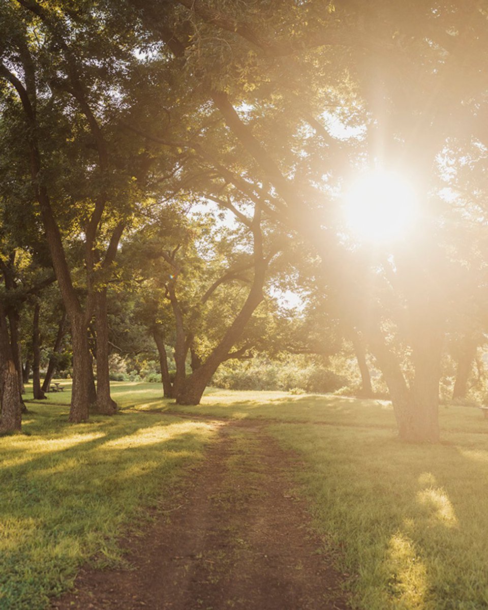 Eden Project tweet media