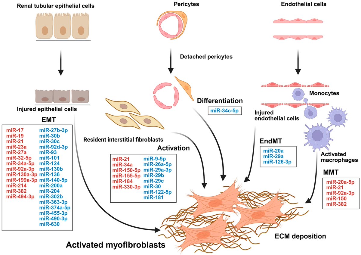 Epigenomes MDPI tweet media