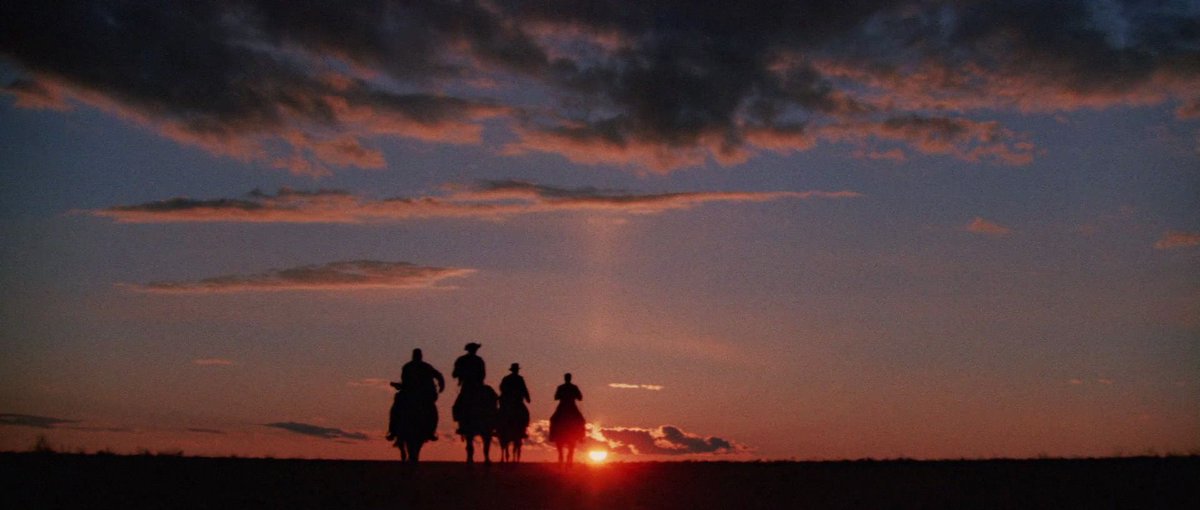 Cinematic tweet media