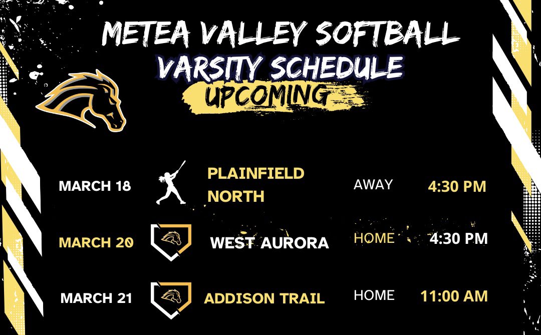 Metea Valley Softball tweet media
