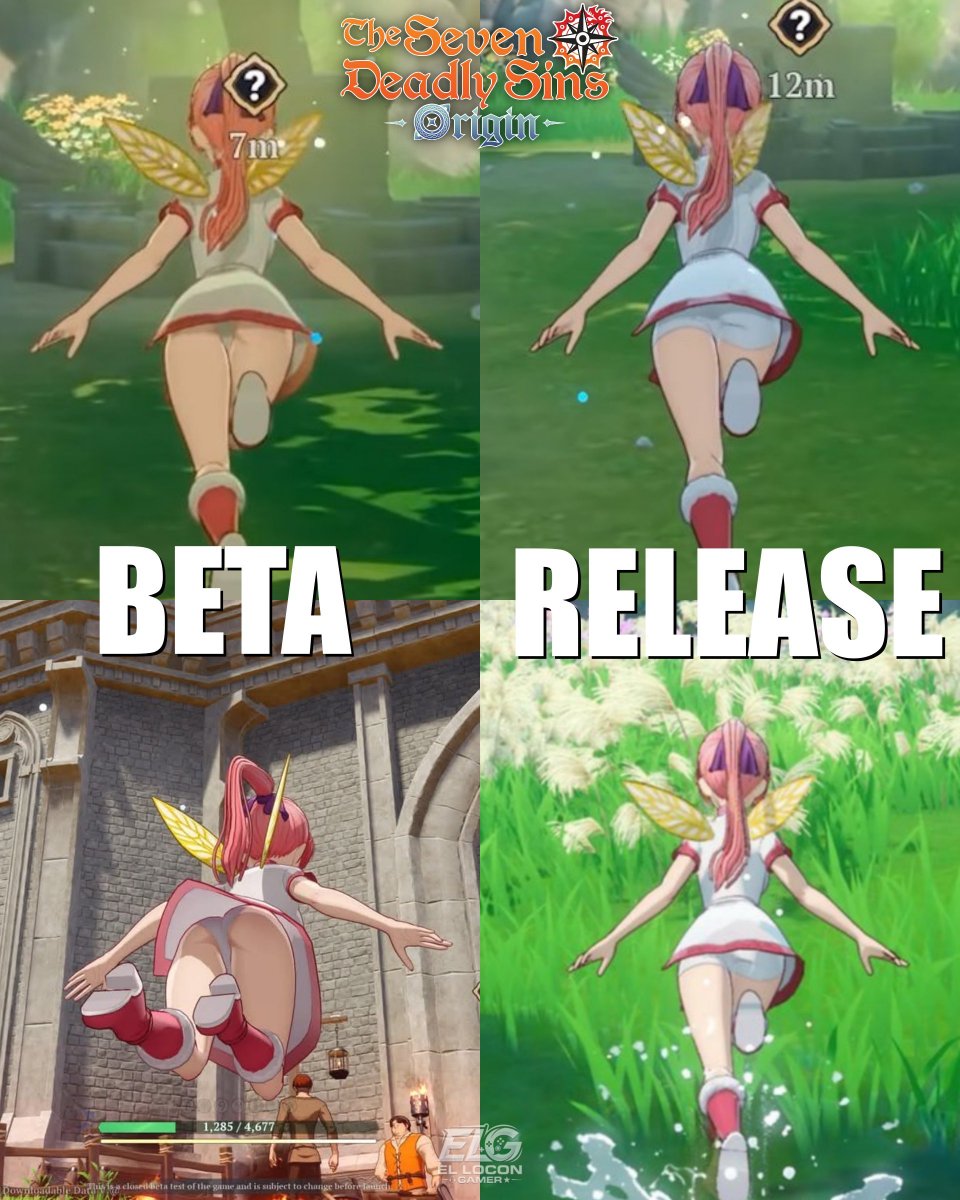 packergirl tweet media