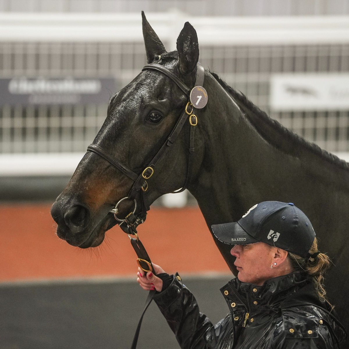 Tattersalls Cheltenham tweet media