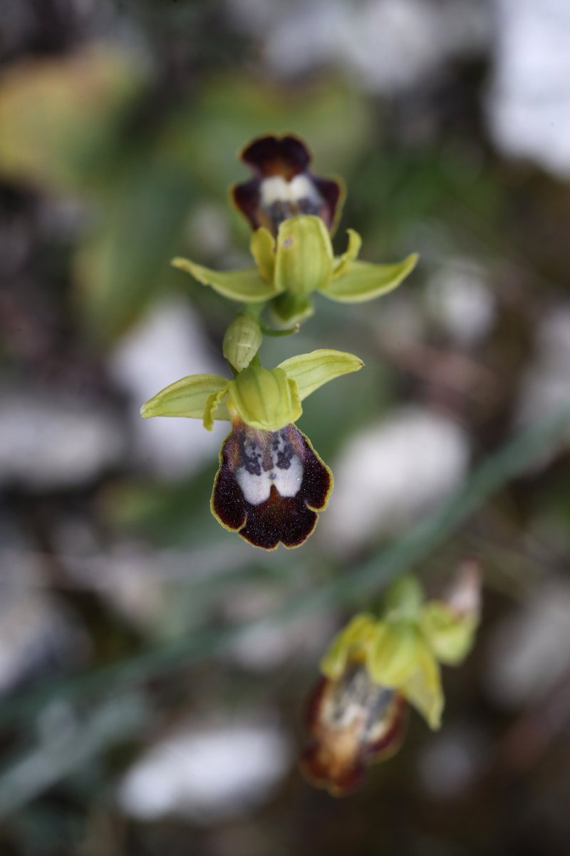 Jon Dunn 🇺🇦 tweet media