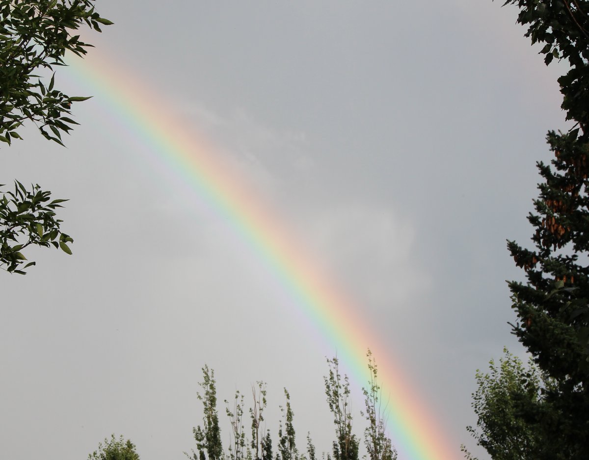 Bert Tonsi tweet media