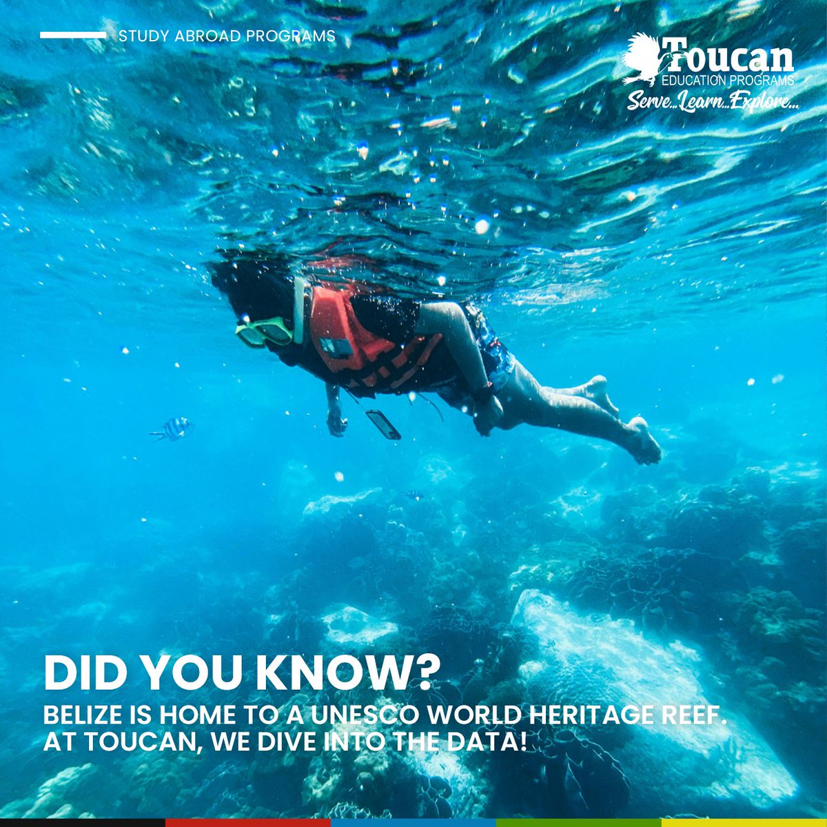 Toucan Education Programs tweet media