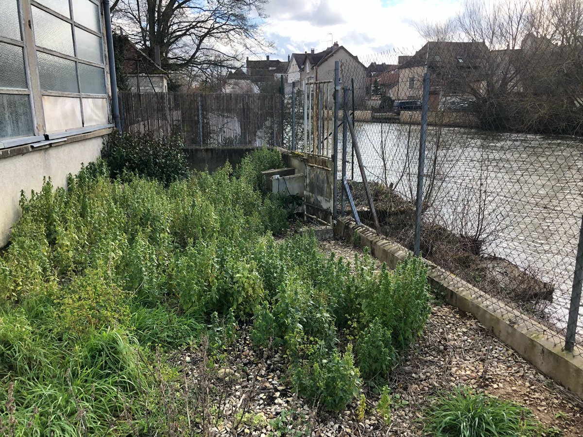 John Abbey tweet media