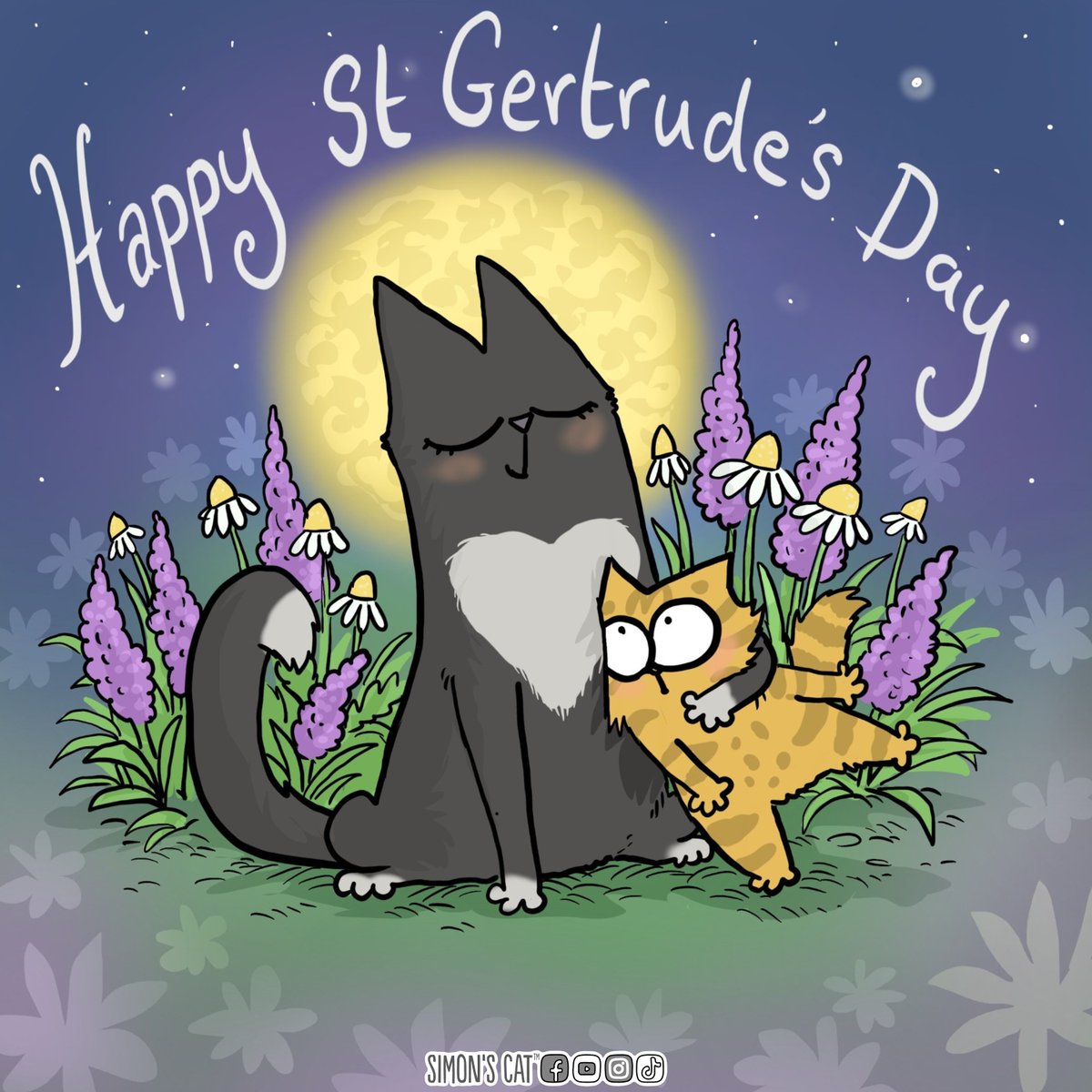 Simon's Cat 🐾 tweet media