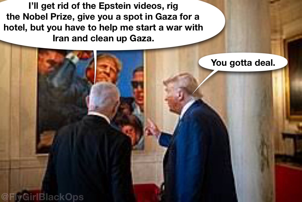 Fly Girl Black Ops tweet media