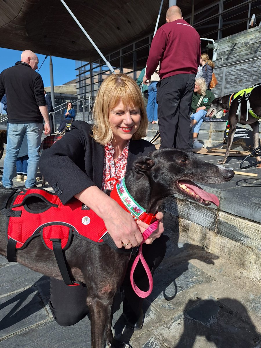 Valley Track Watch tweet media