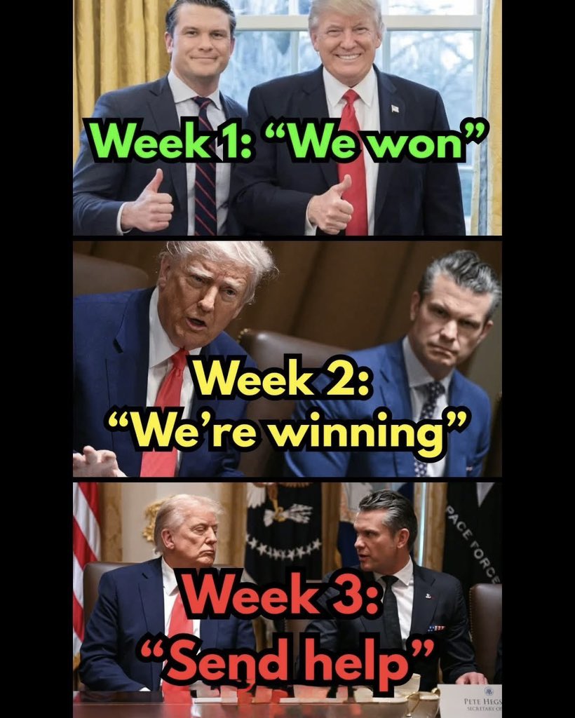 FrançoiseHardly 🏴🌹🇵🇸🔻🇾🇪 tweet media