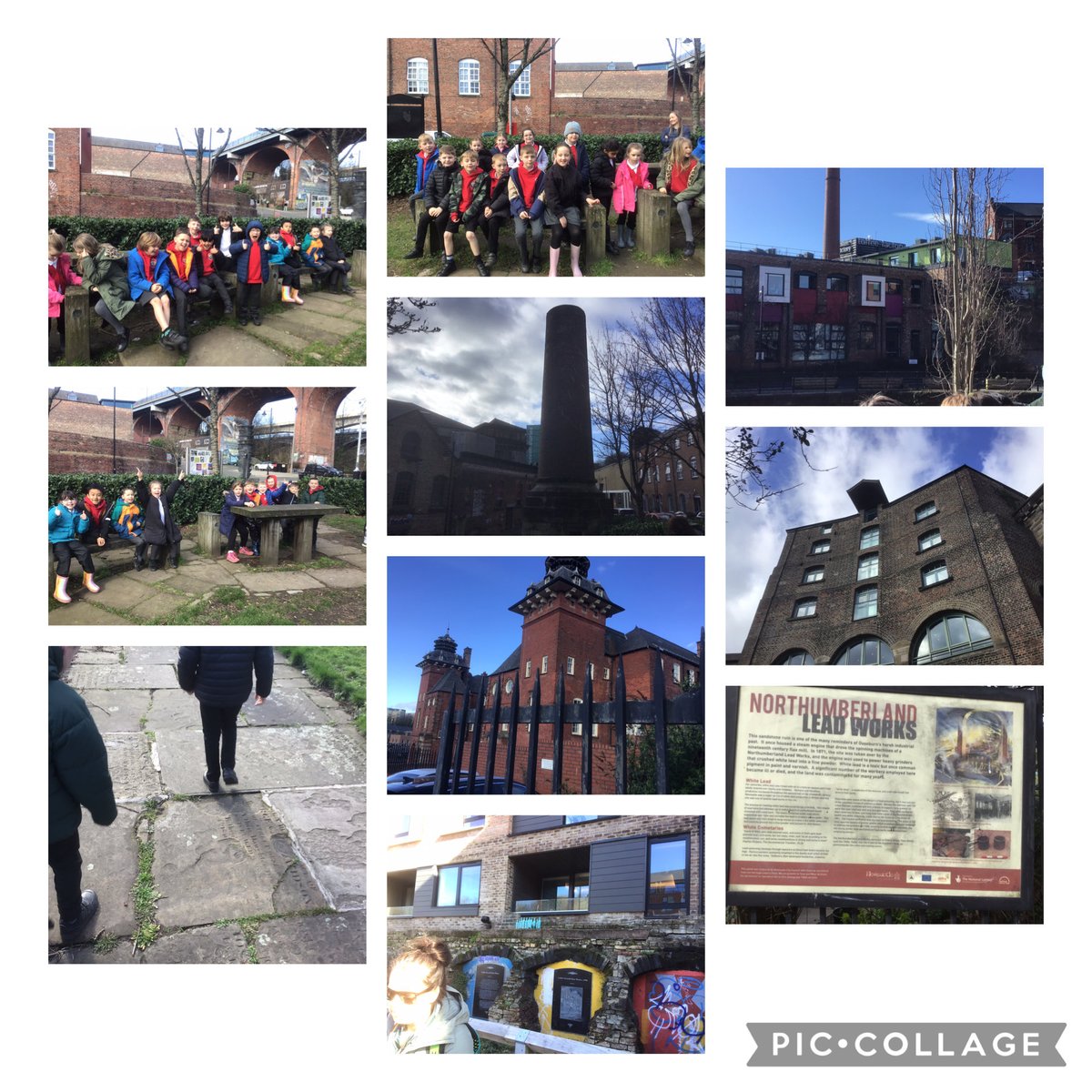 Preston Grange Primary School tweet media