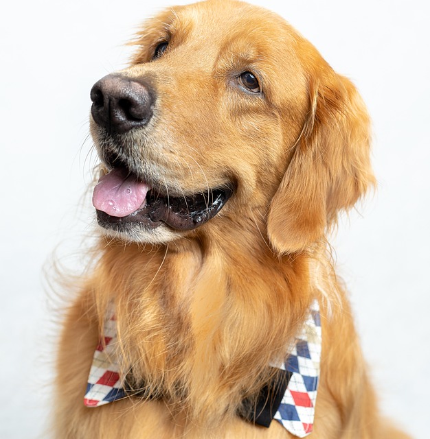 Brandy Vigil tweet media