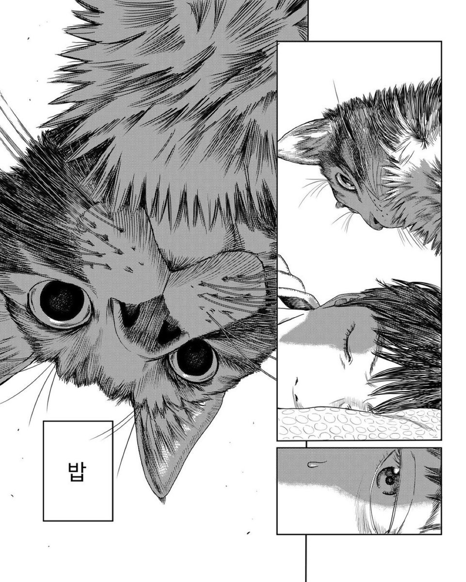 Nobs (side character arc) tweet media