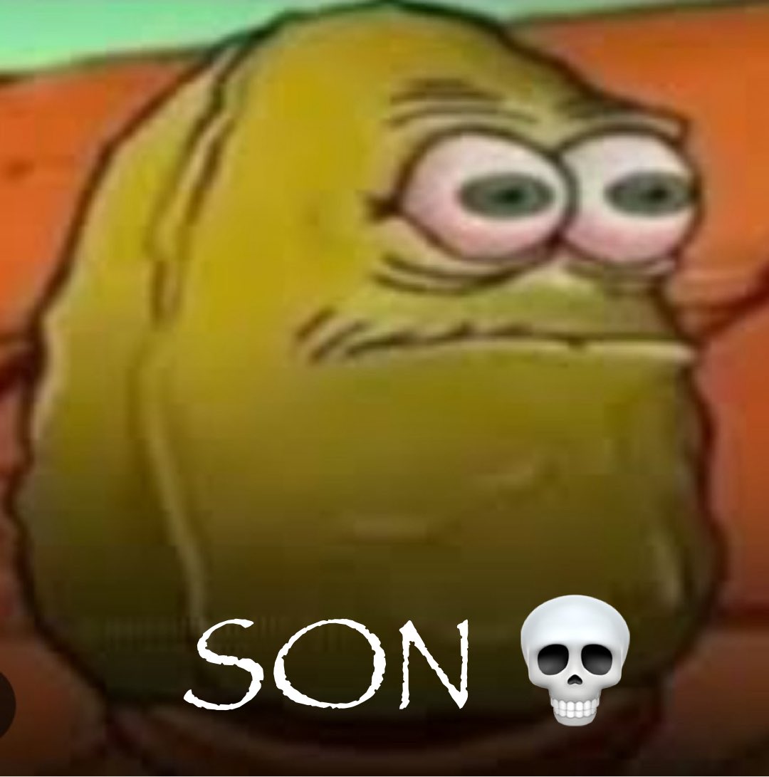 Ringo_the_fly tweet media