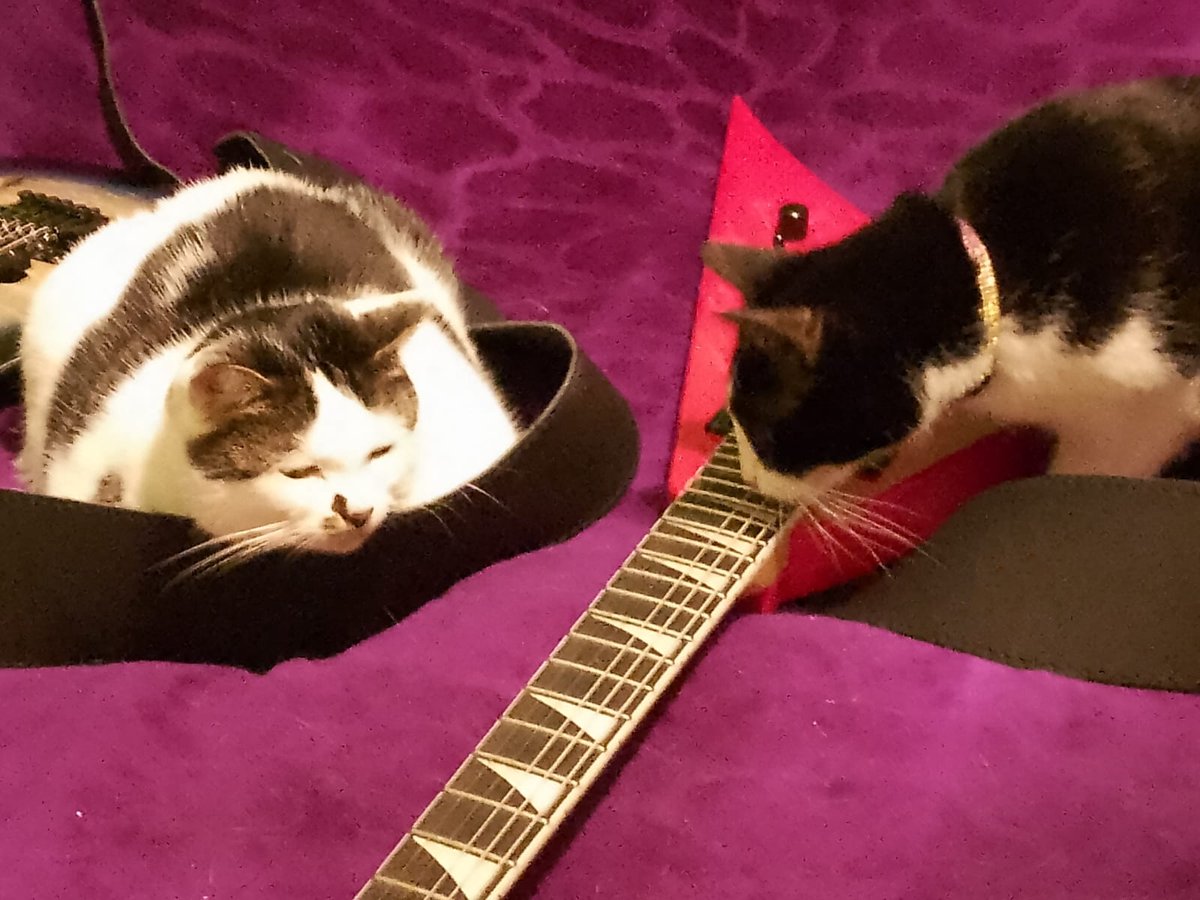 Sparkle & Lilibet from da Yurpean Onion🇪🇺🇩🇪 tweet media