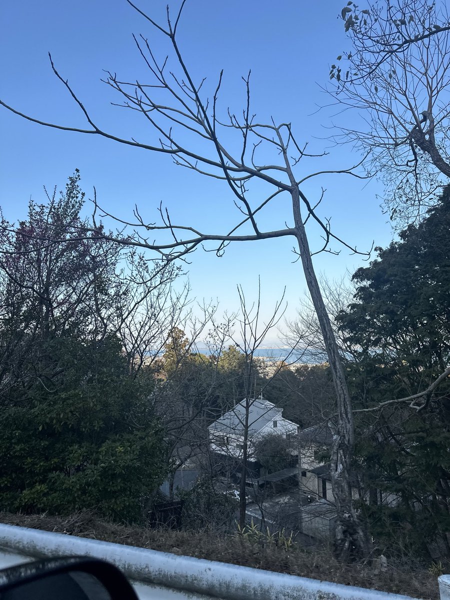 桜が ちらほら増えて来ました🌸
もう昼間は暑いくらい
でも夕方からは寒い😷
しっかり、営業シバタ久々に喉痛い
インフルとコロナでは無いように💦
パブロン飲みました💦
花粉もだし、何もかも高騰してるし
大変ですが、未来しかないので
音楽を楽しみましょう🎶
 #学祭   #春
